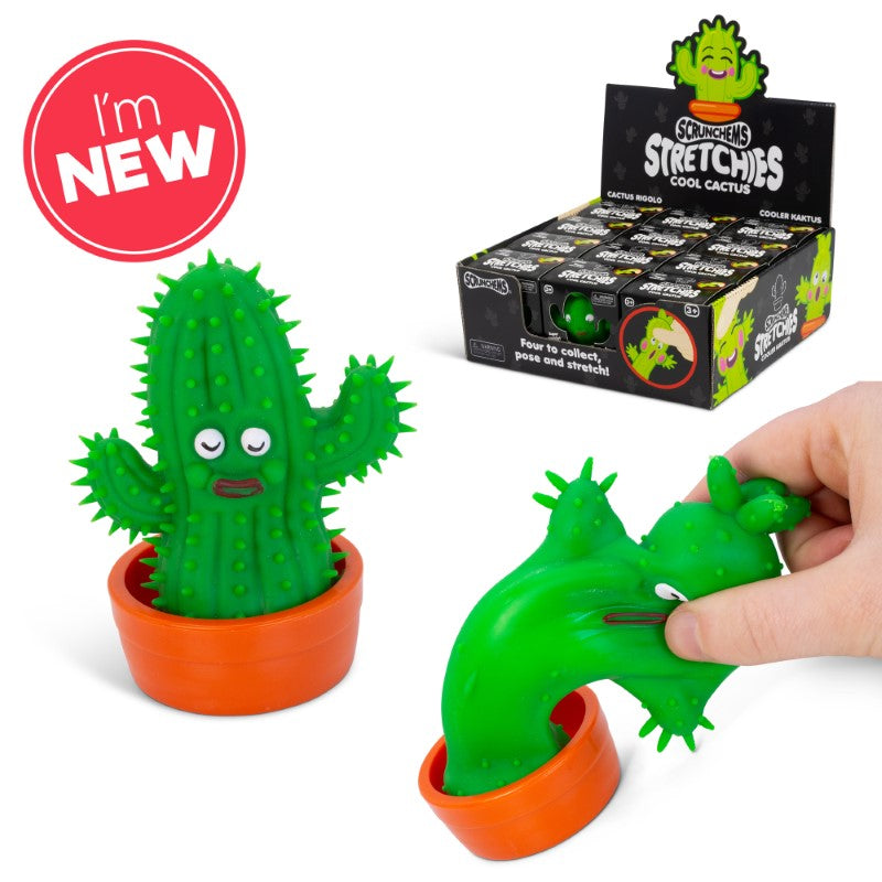 SCRUNCHEMS STRETCHIES COOL CACTUS – Flying Pig Toys