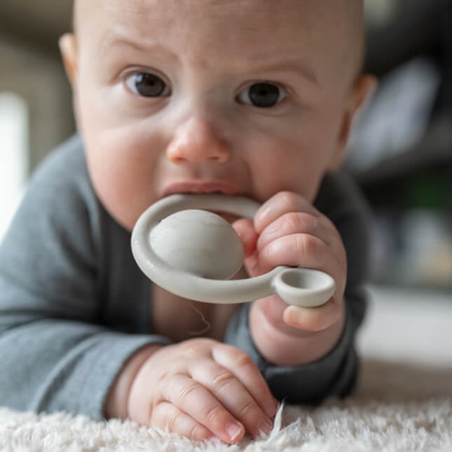 Nogi Flying Pig Toys