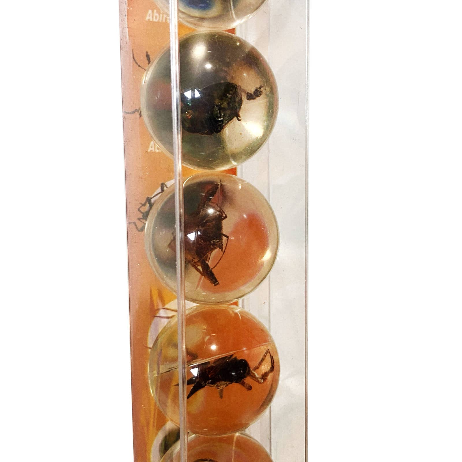 Travel Bug Marble GEOWorld Bug Marbles – Flying Pig Toys