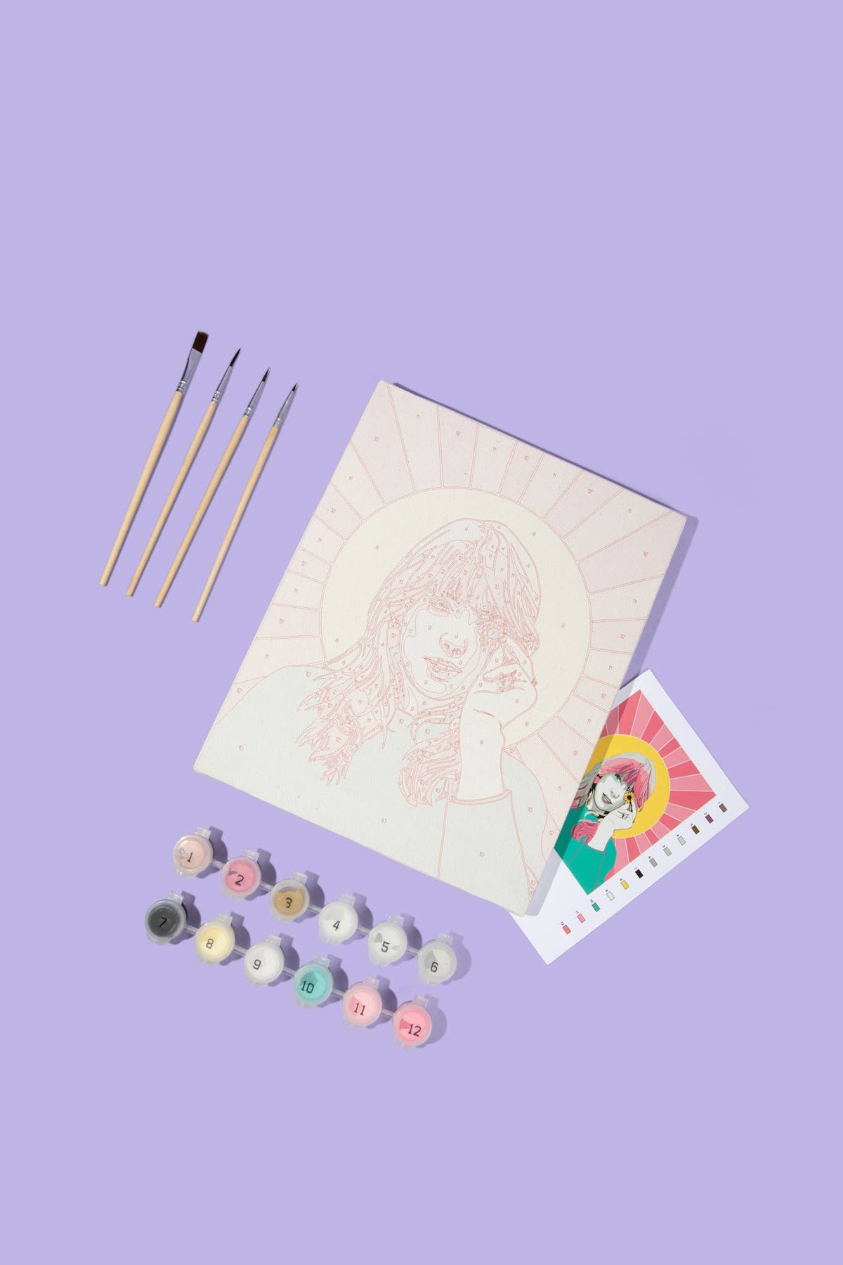 Taylor Swift Paint By Numbers Kit – Flying Pig Toys