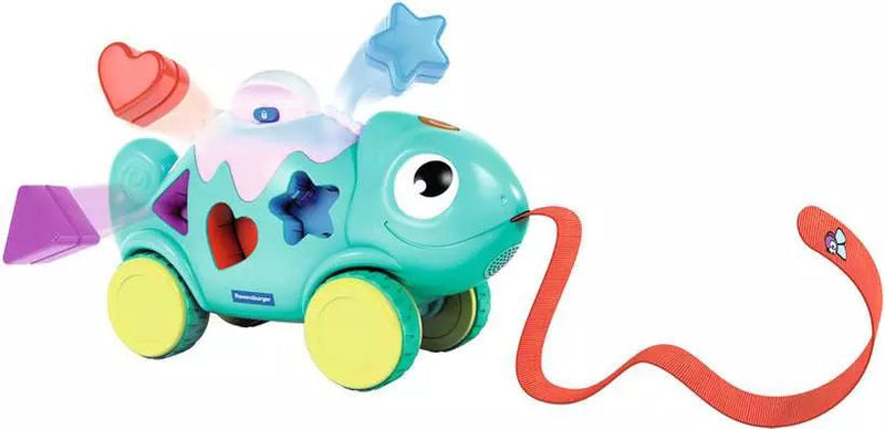 Color and Shape Sorter Chameleon