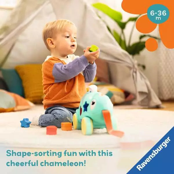 Color and Shape Sorter Chameleon