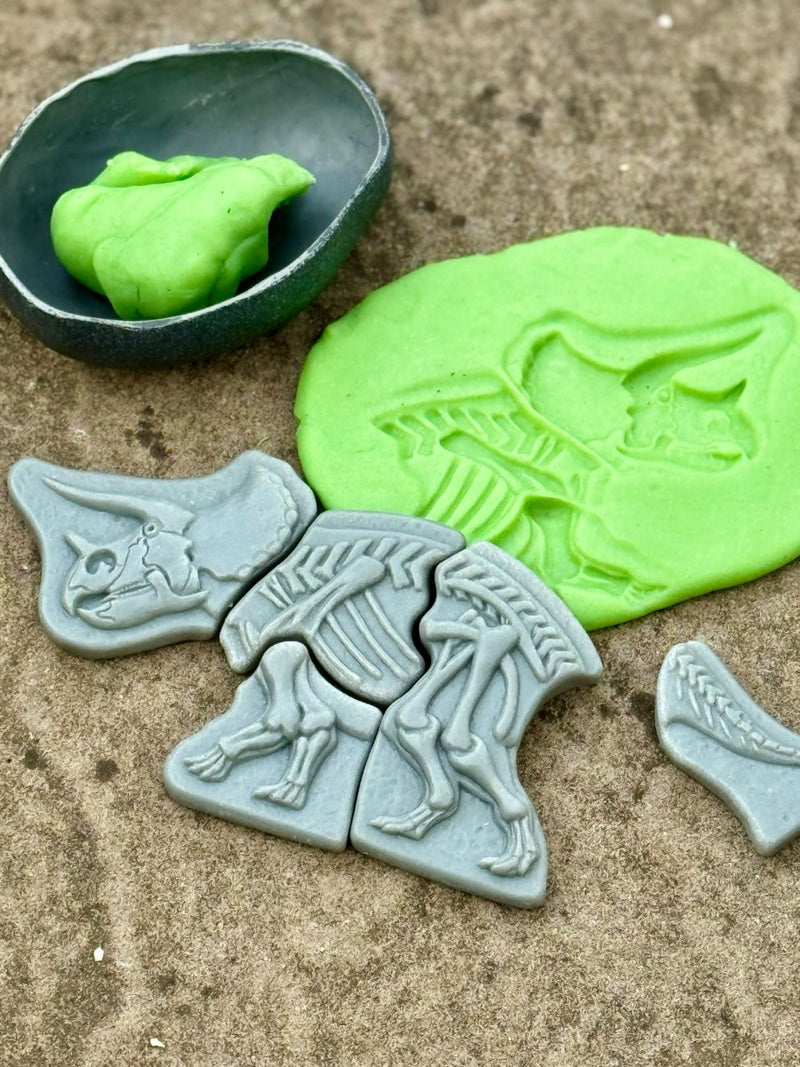 Dig and Discover – Triceratops & Spinosaurus