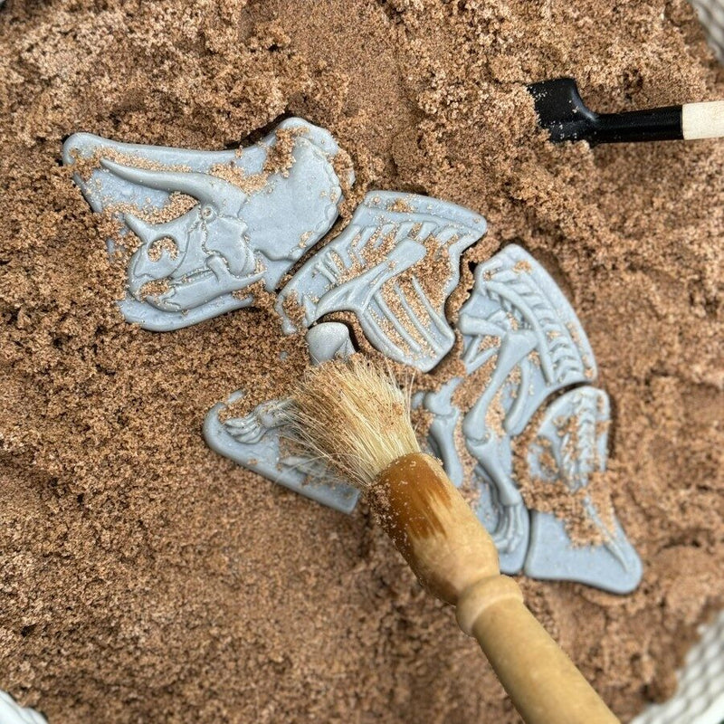 Dig and Discover – Triceratops & Spinosaurus