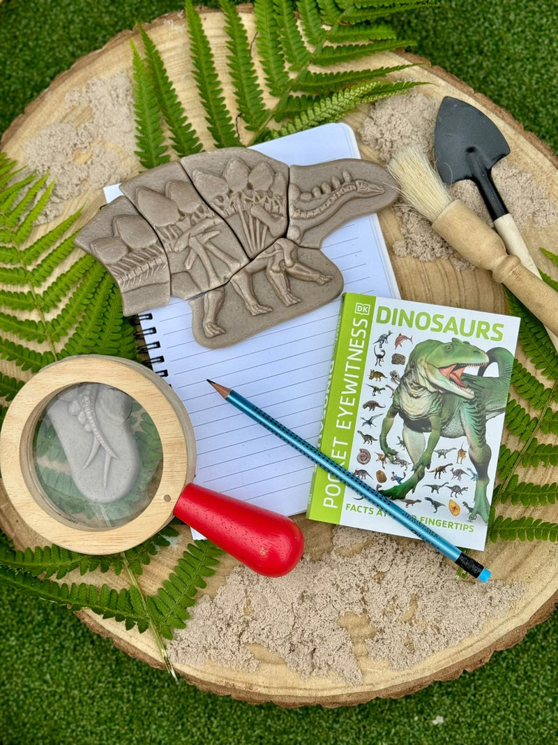 Dig and Discover – Triceratops & Spinosaurus