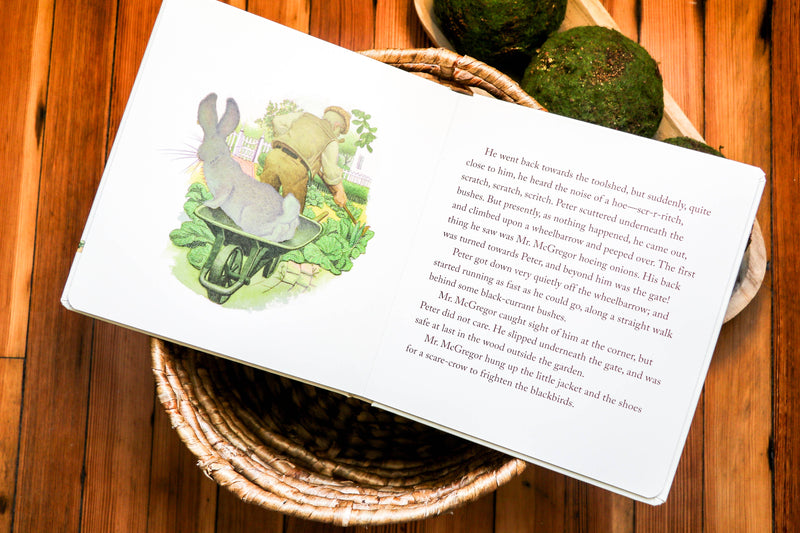 The Classic Tale of Peter Rabbit Touch and Feel Board Book