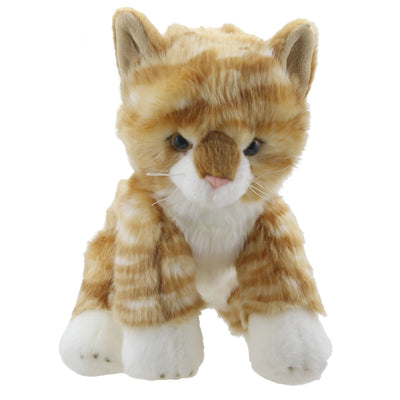 Wilberry Favourites - Cat (Ginger)