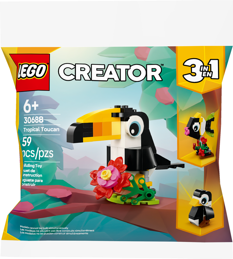 Tropical Toucan