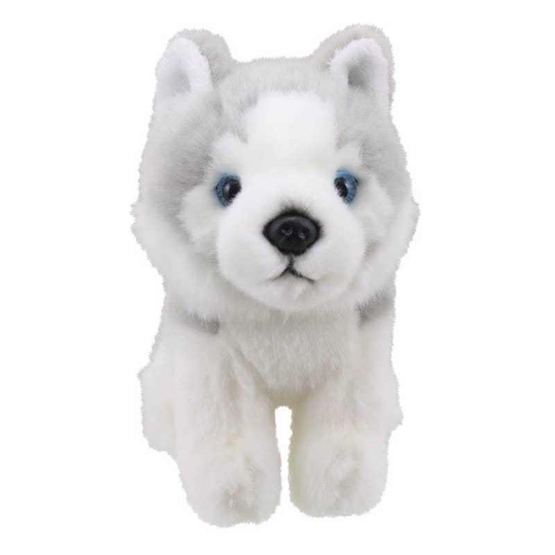 Wilberry Minis: Husky