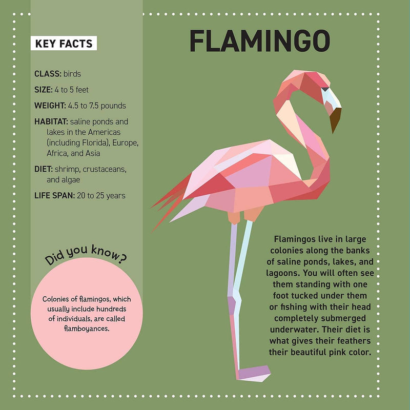 My Sticker Paintings: Animals of the World - Kid&