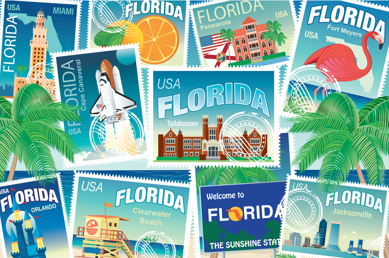 ROAD TRIP - FLORIDA! MicroPuzzle  Mini Jigsaw Puzzle