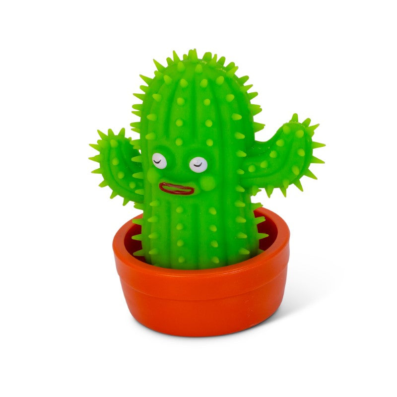 SCRUNCHEMS STRETCHIES COOL CACTUS – Flying Pig Toys