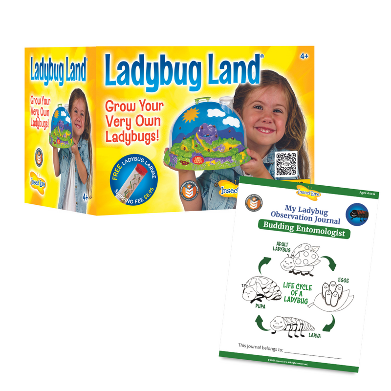 Ladybug Land® with Voucher