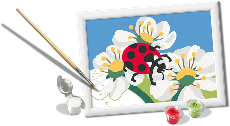 Creart Ladybug