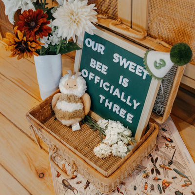 12x12 Green Magnetic Chalkboard