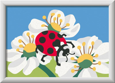 Creart Ladybug