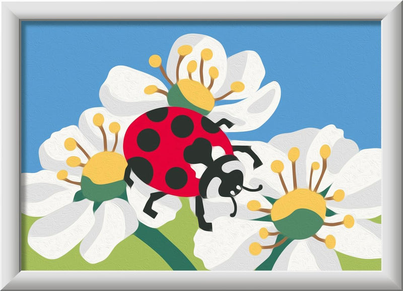 Creart Ladybug