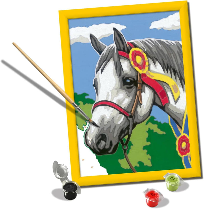 Creart Show Horse