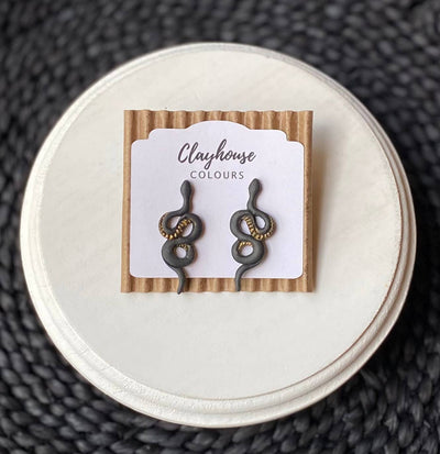Taylor Swift Inspired Collection | Swiftie Earrings