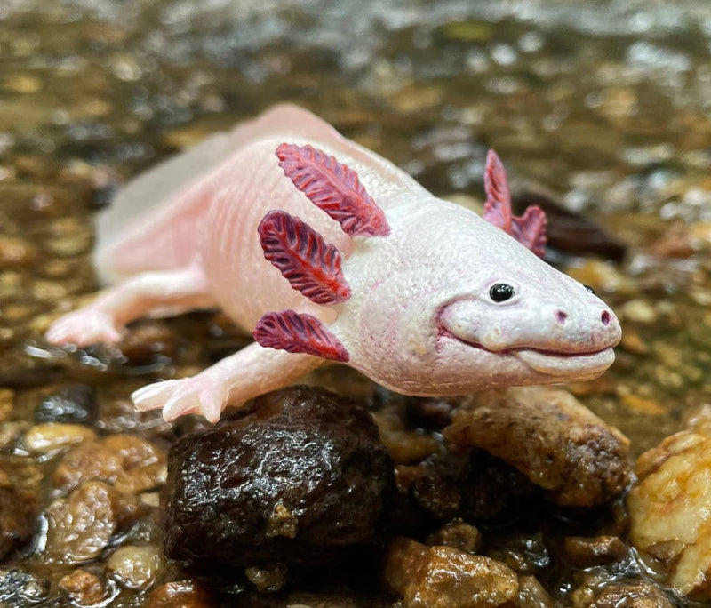 Axolotl Figurine Toy