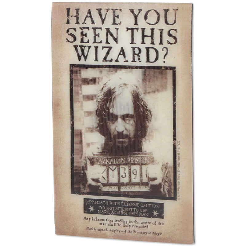 Harry Potter Have You Seen This Wizard Metal Magnet