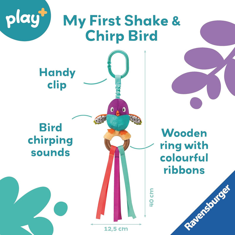 Shake and Chirp Bird