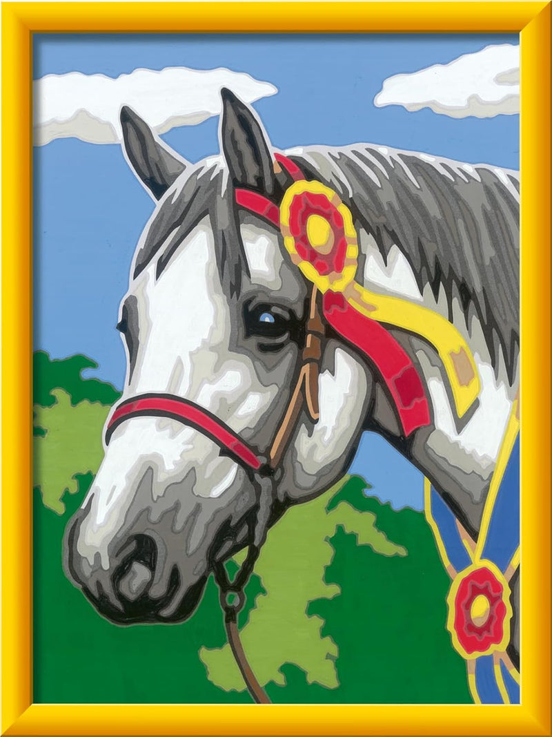 Creart Show Horse