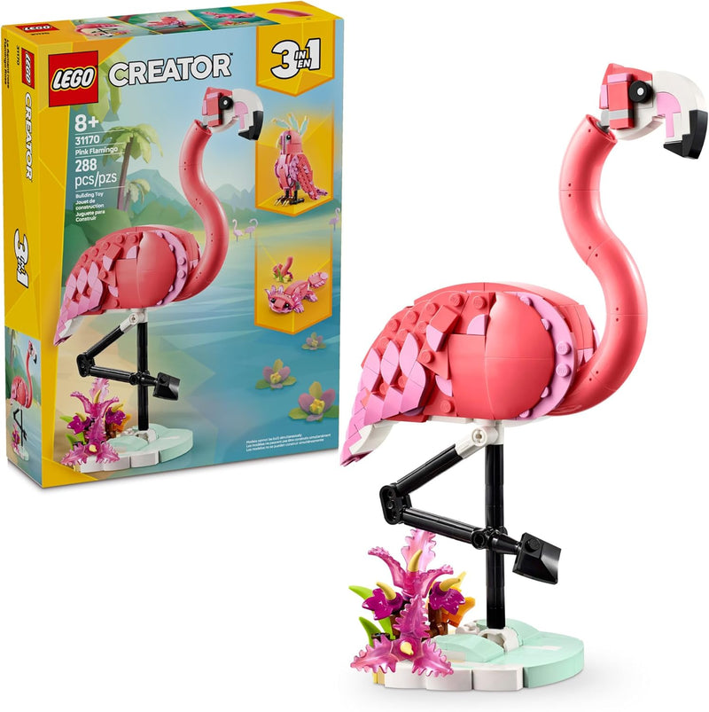 Wild Animals: Pink Flamingo