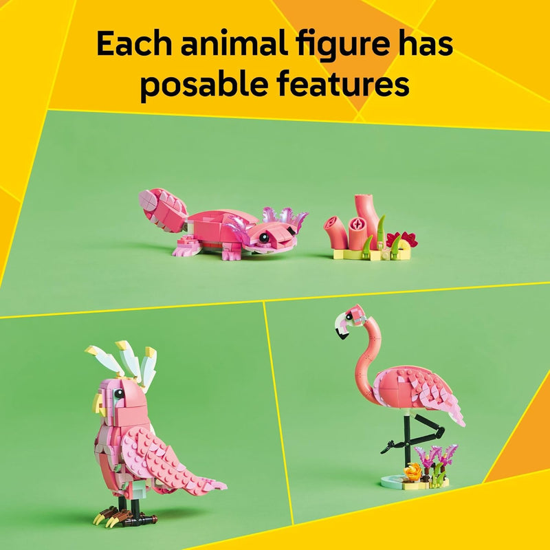 Wild Animals: Pink Flamingo