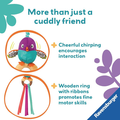 Shake and Chirp Bird