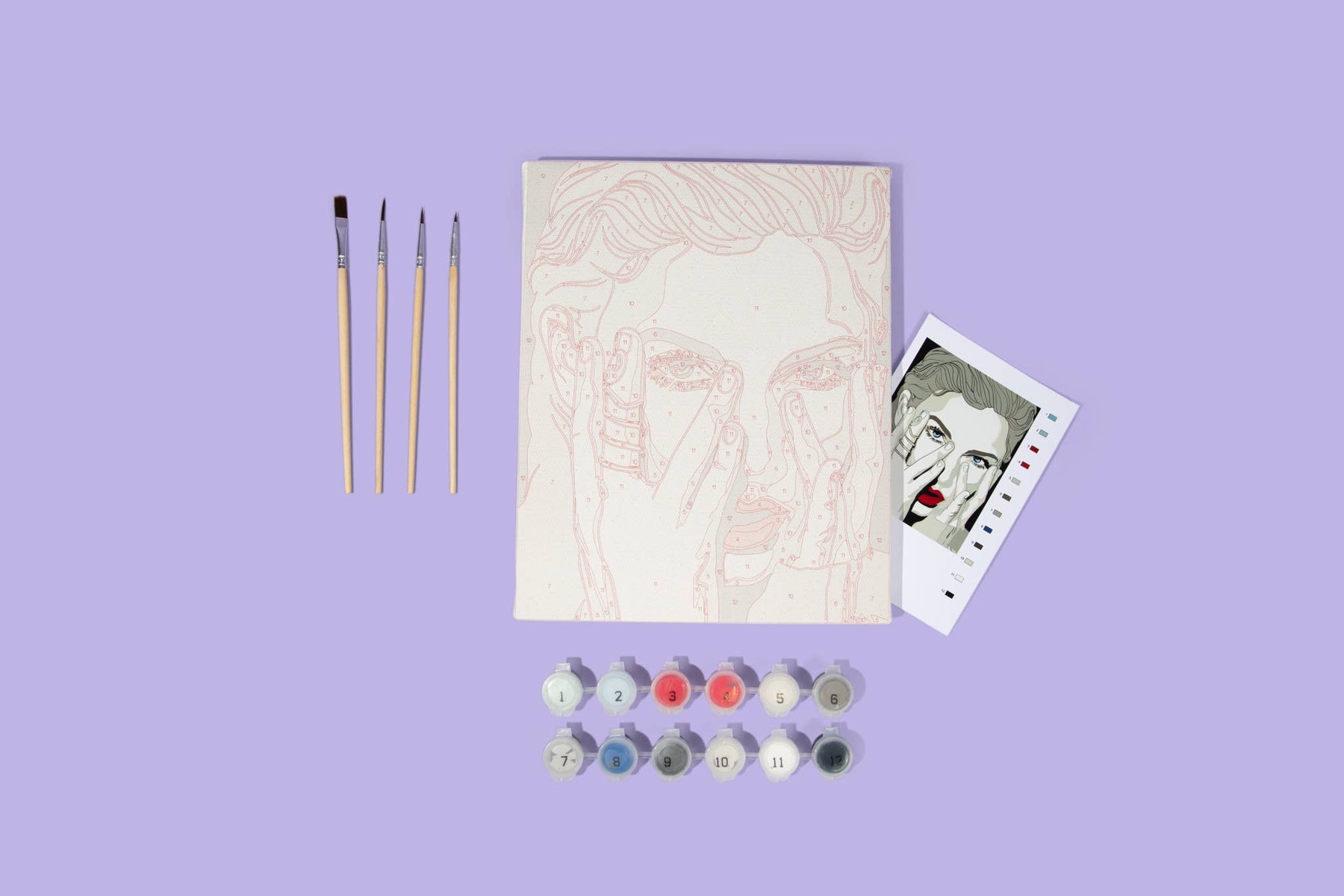 Taylor Swift Paint By Numbers Kit – Flying Pig Toys