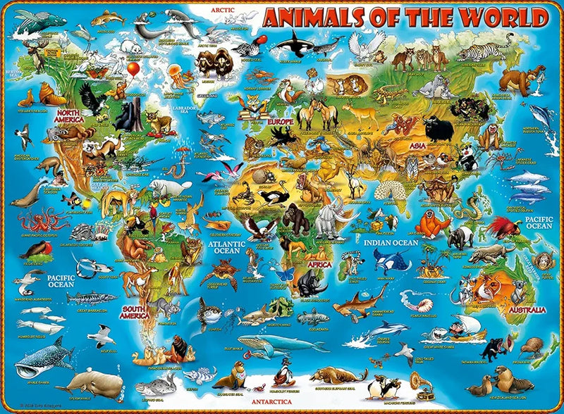 Animals of The World