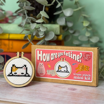 'How Are You Feline?' Mini Matchbox Cross Stitch Kit