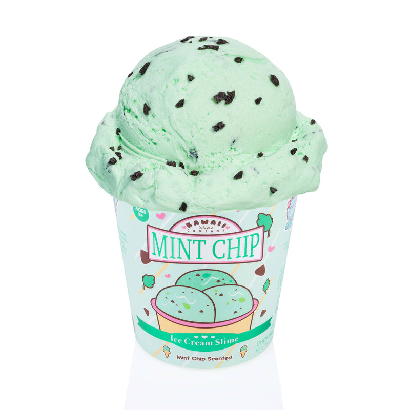 Mint Chip Scented Ice Cream Pint Slime (5pcs/case)