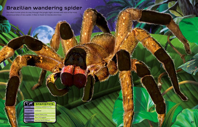 Build Your Own Deadly Animals Sticker Book