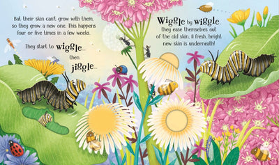 One Little Butterfly