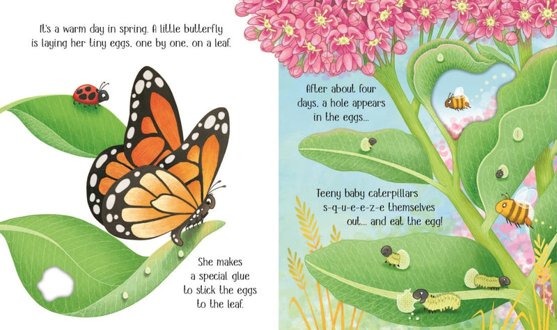 One Little Butterfly