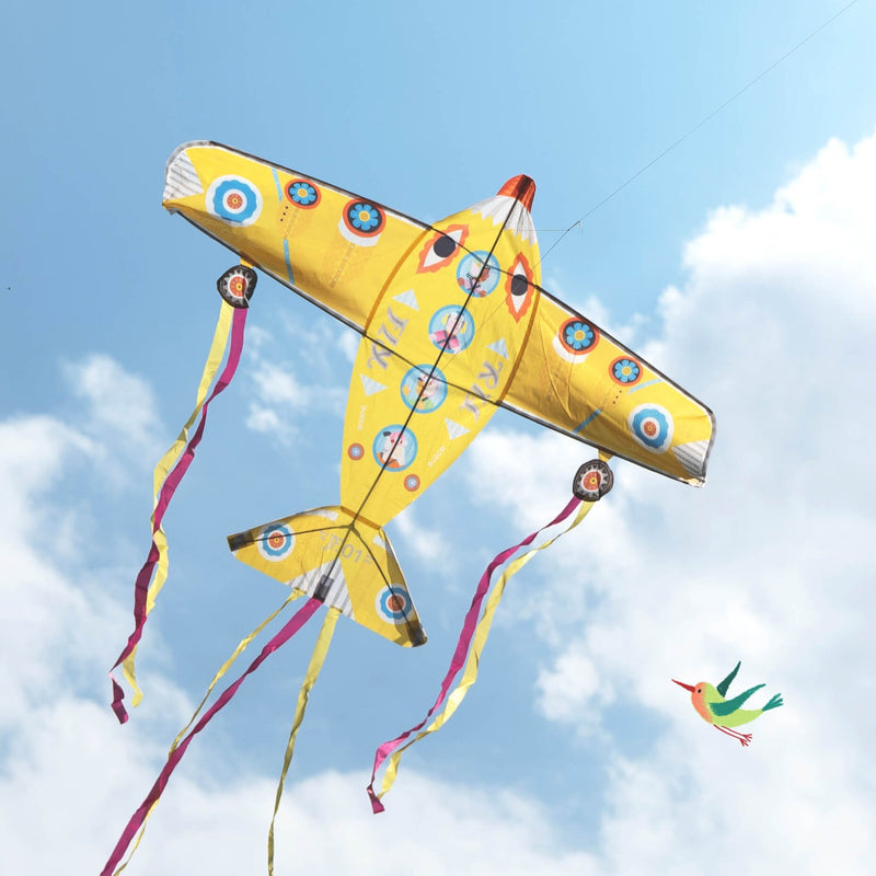 Maxi Plane Giant Kite