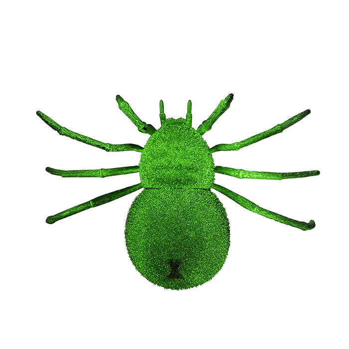 Spooky Spider Remote Control