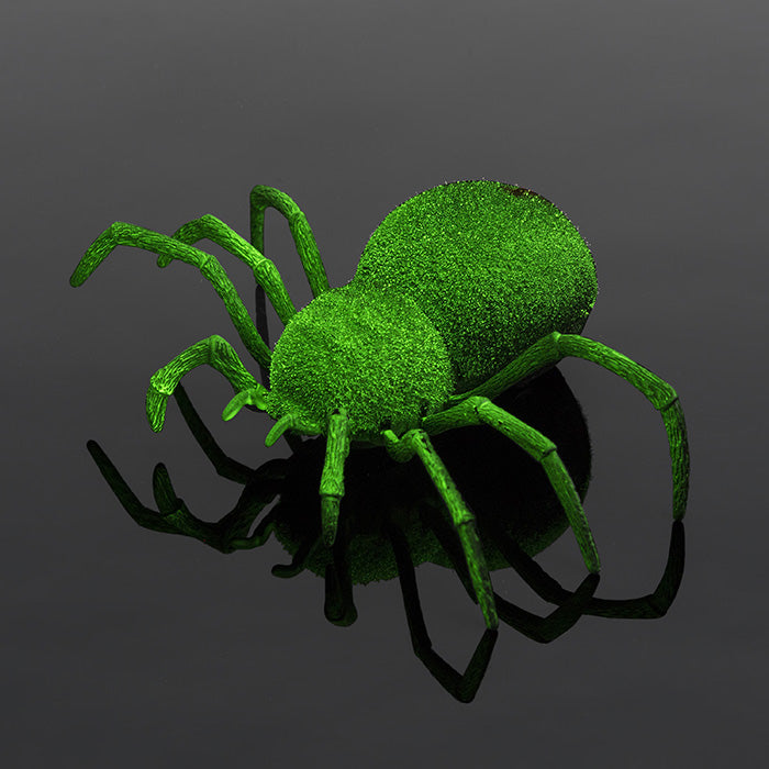 Spooky Spider Remote Control