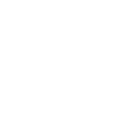 Flying Pig Toys