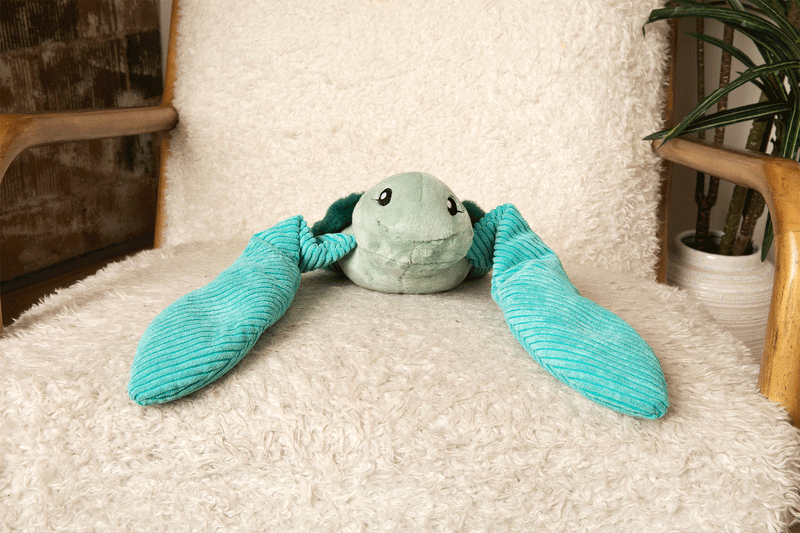 Sidney the Sea Turtle Hugaround