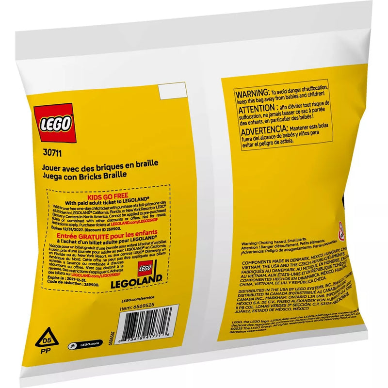 Play with Braille Bricks