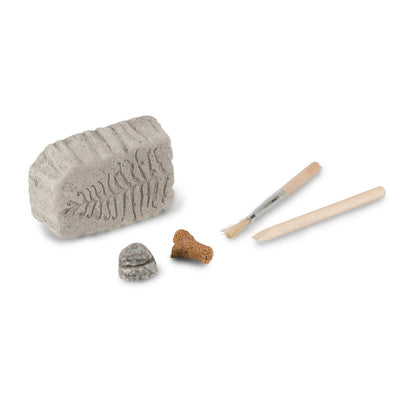 Fossil Dig Paleo Kit