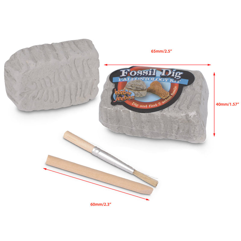 Fossil Dig Paleo Kit