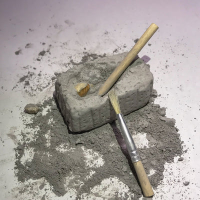 Fossil Dig Paleo Kit