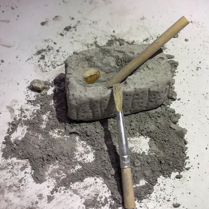 Fossil Dig Paleo Kit