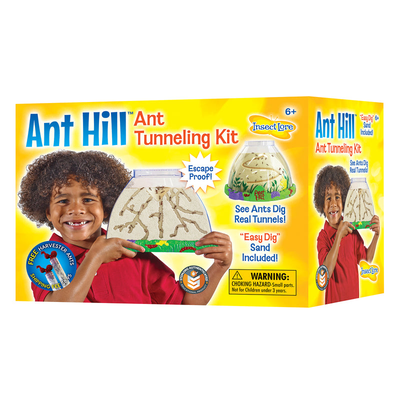 Ant Hill With Voucher