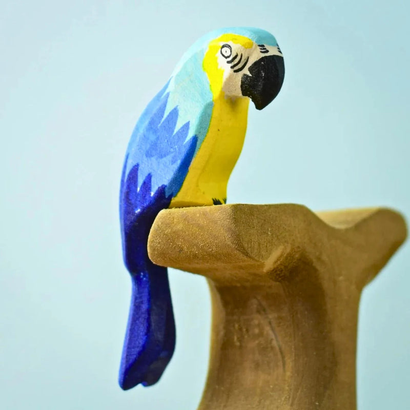 Blue Parrot Macaw