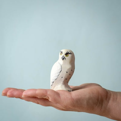 Snowy Owl